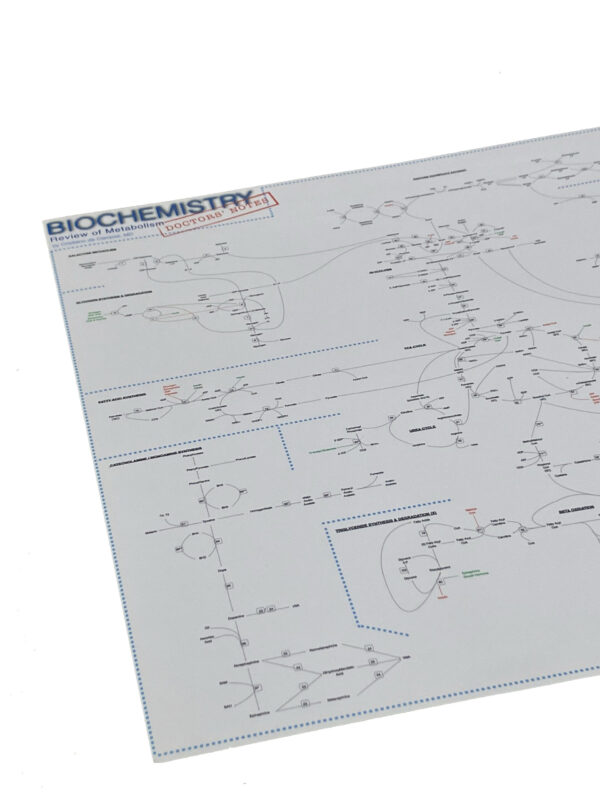 Medical Biochemistry Poster